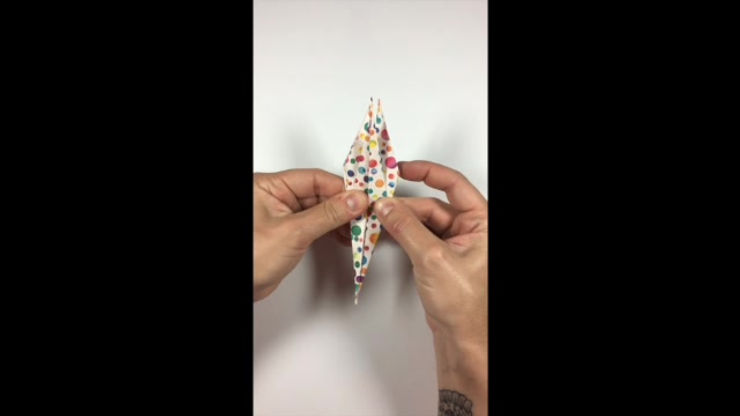 ORIGAMI CRANE - SD 480p